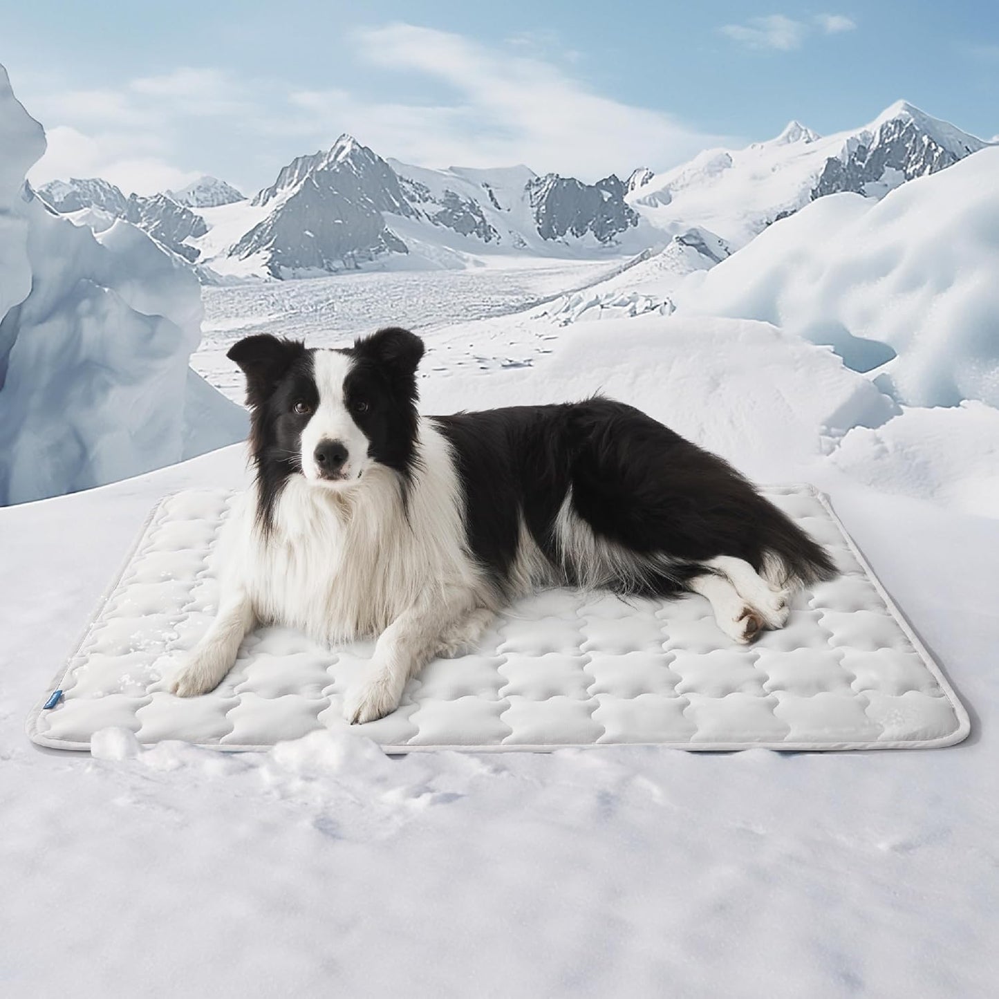 Alnera™ Cooling Pet Mat
