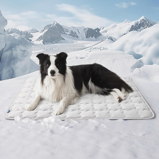 Alnera™ Cooling Pet Mat